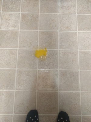 7qt5.jpg.