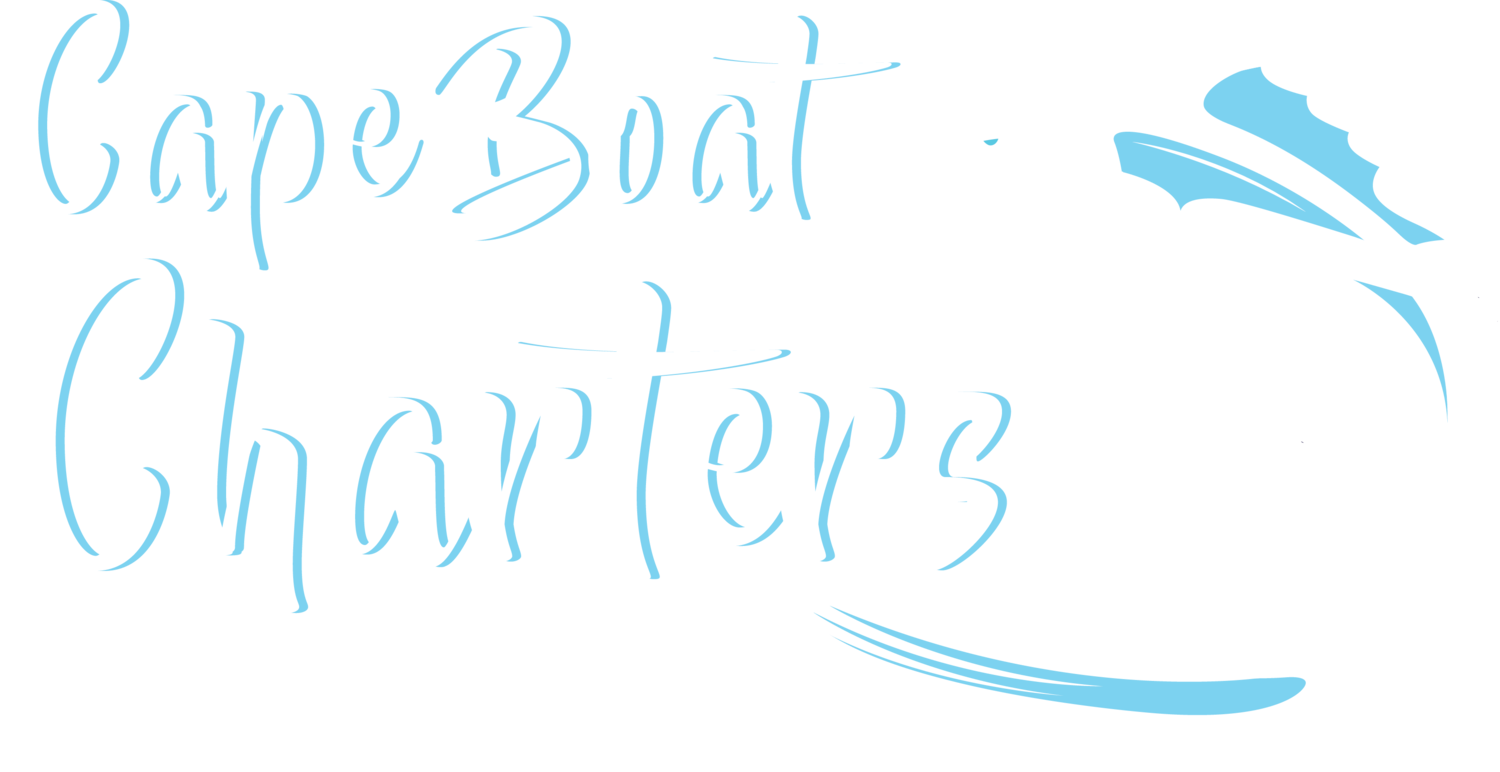 Cape Boat Charters