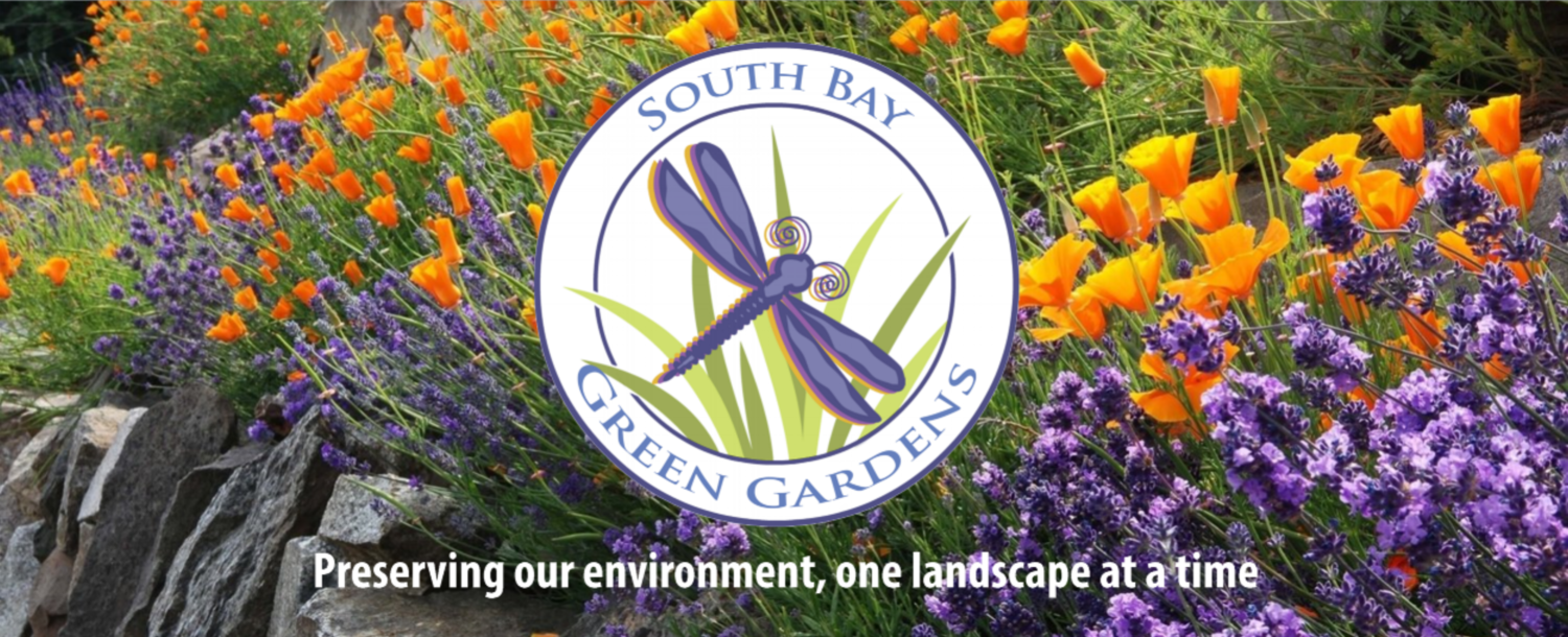 South Bay Green Gardens