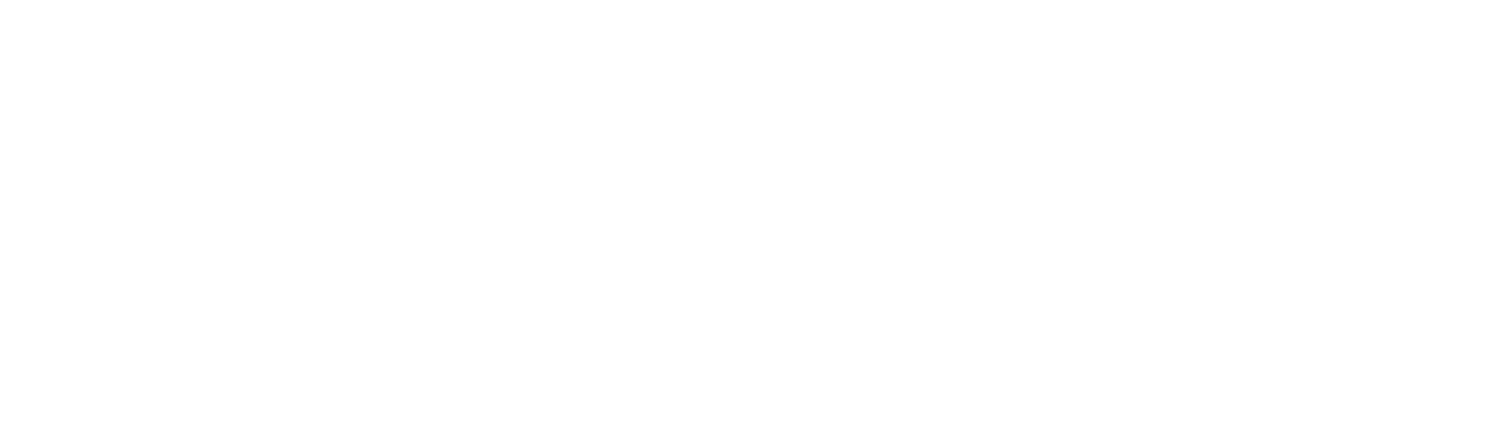 Dr Dominick Condo