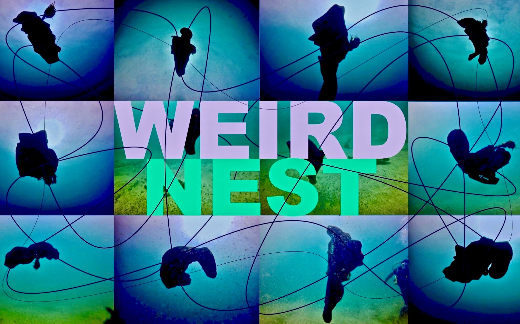 Weird Nest