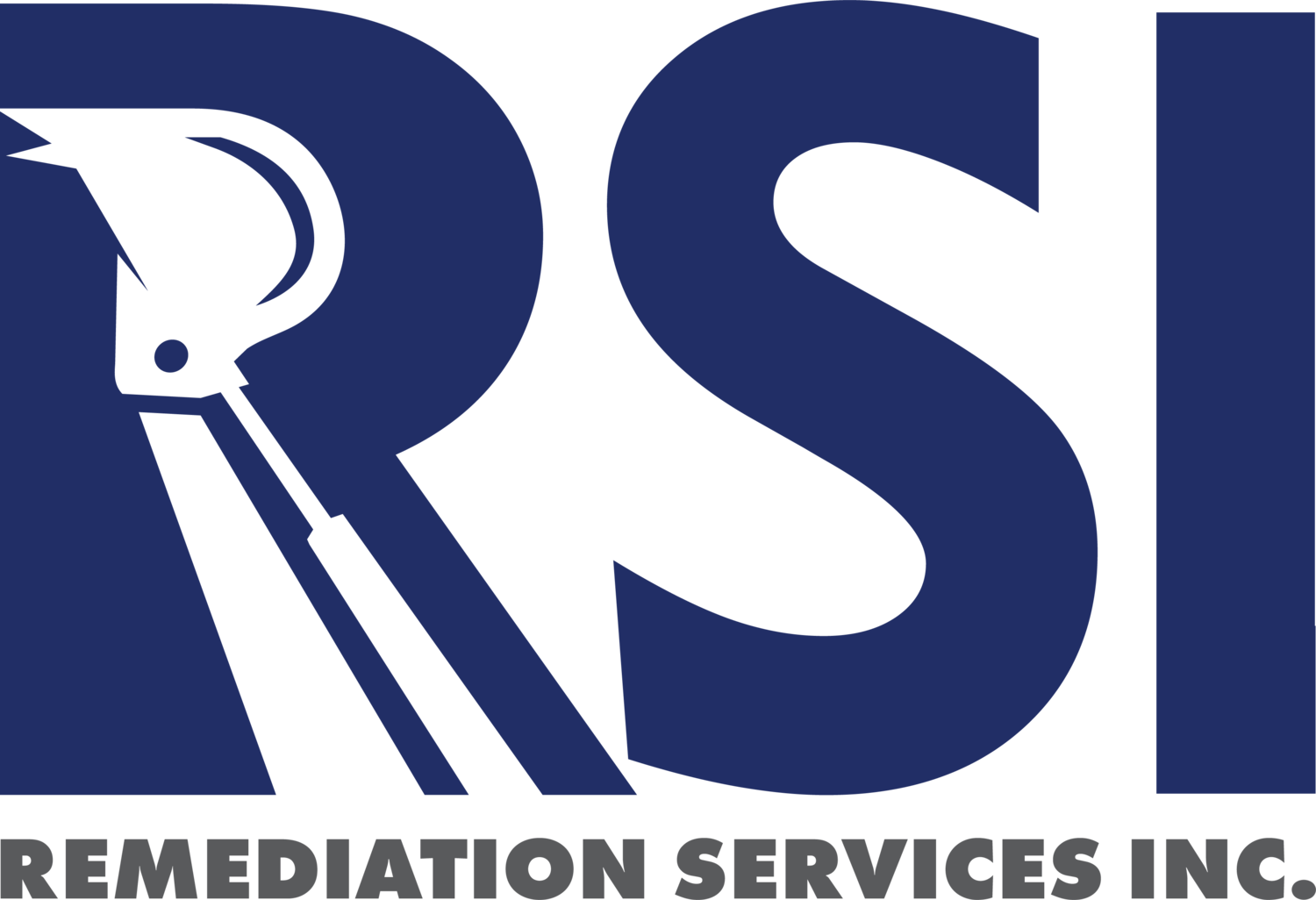 Remediation Services Inc.