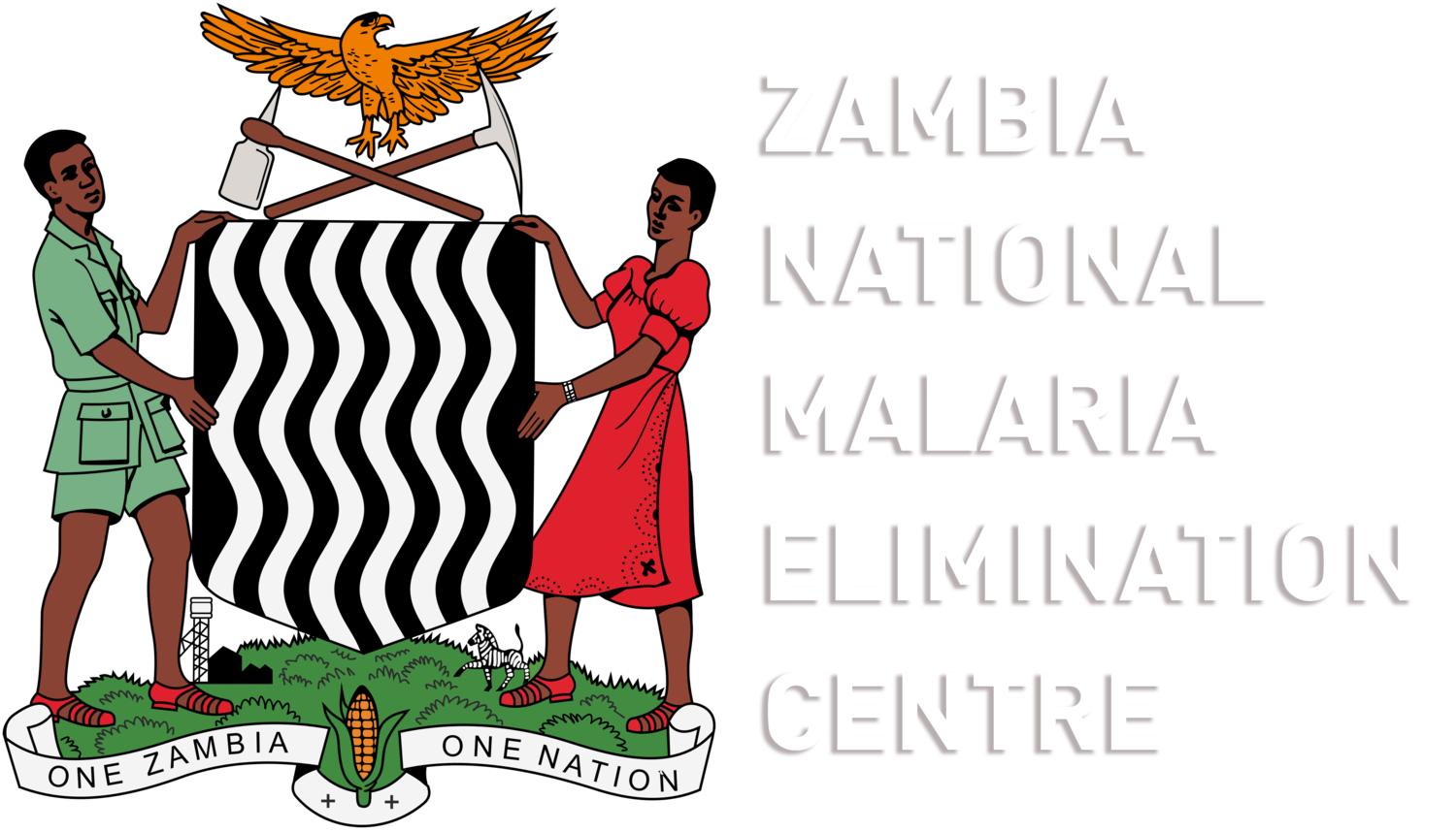 Zambia National Malaria Elimination Centre
