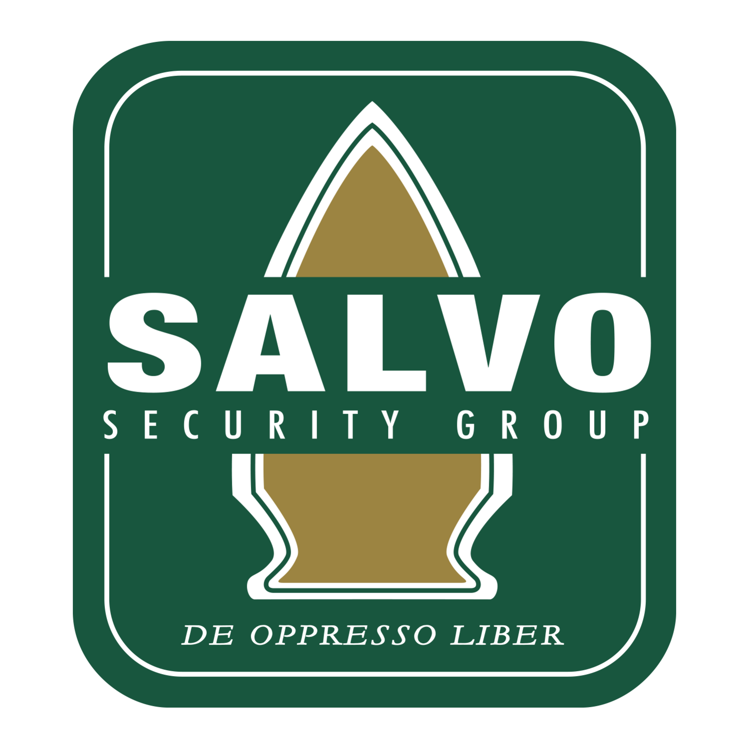 Salvo Security Group