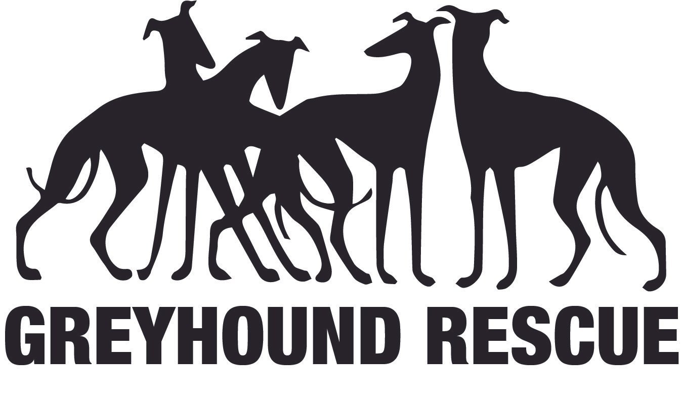 Greyhound Rescue 