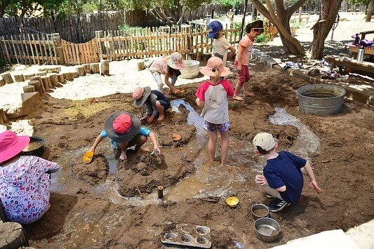 星期五，我们结束了第一周的暑期课程! 向日葵的孩子们玩泥土和水玩得很开心, 挖掘, 爬树和, 最重要的是, 结交新朋友!