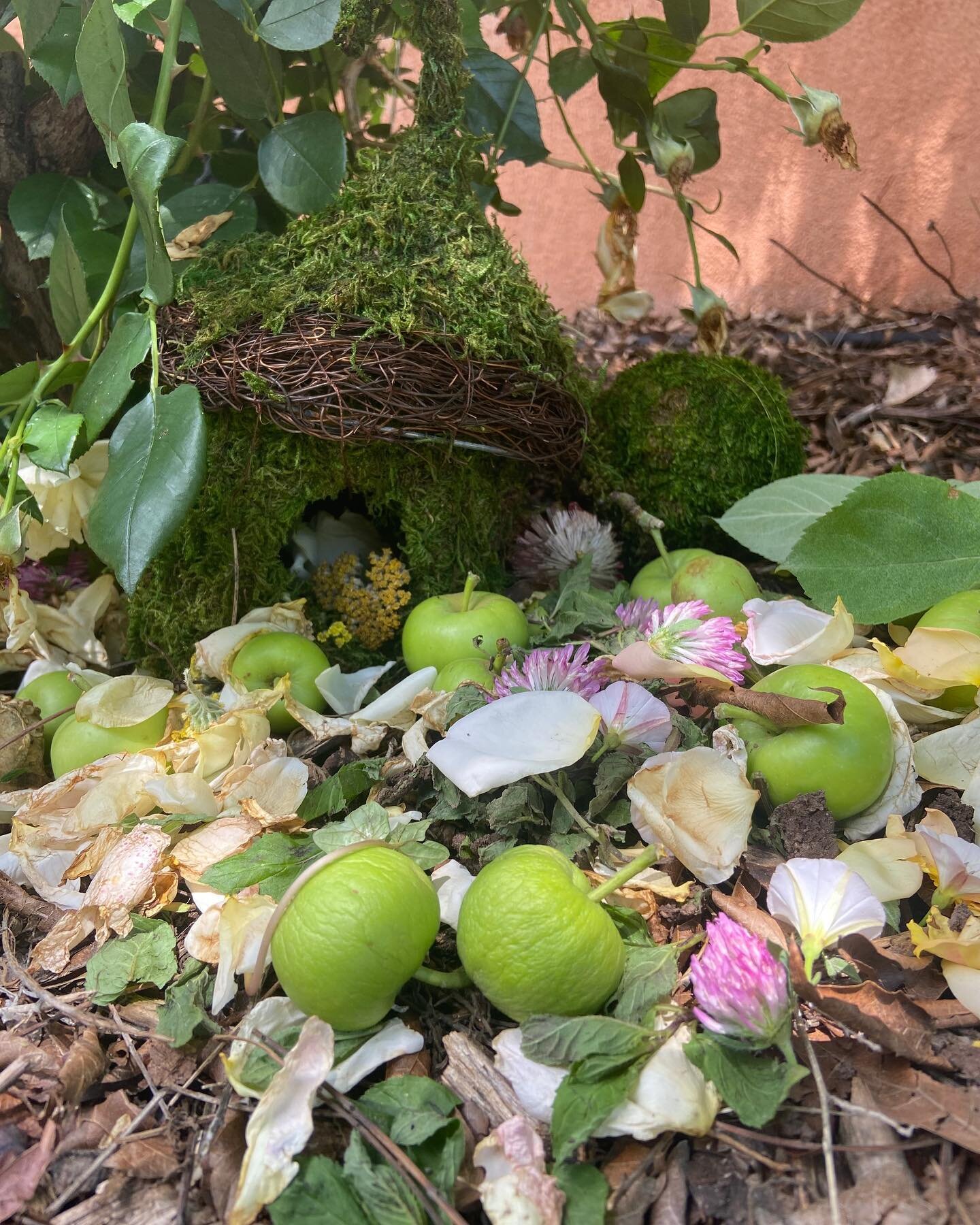 Thanks to the creativity of our summer program teachers, we now have a couple of fairy houses around our campus!

#santafewaldorfschool #summerprogram #fairyhouses