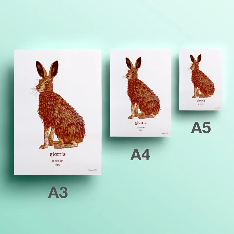 Giorria | Hare — Nine Arrow Giorria | Hare — Nine Arrow