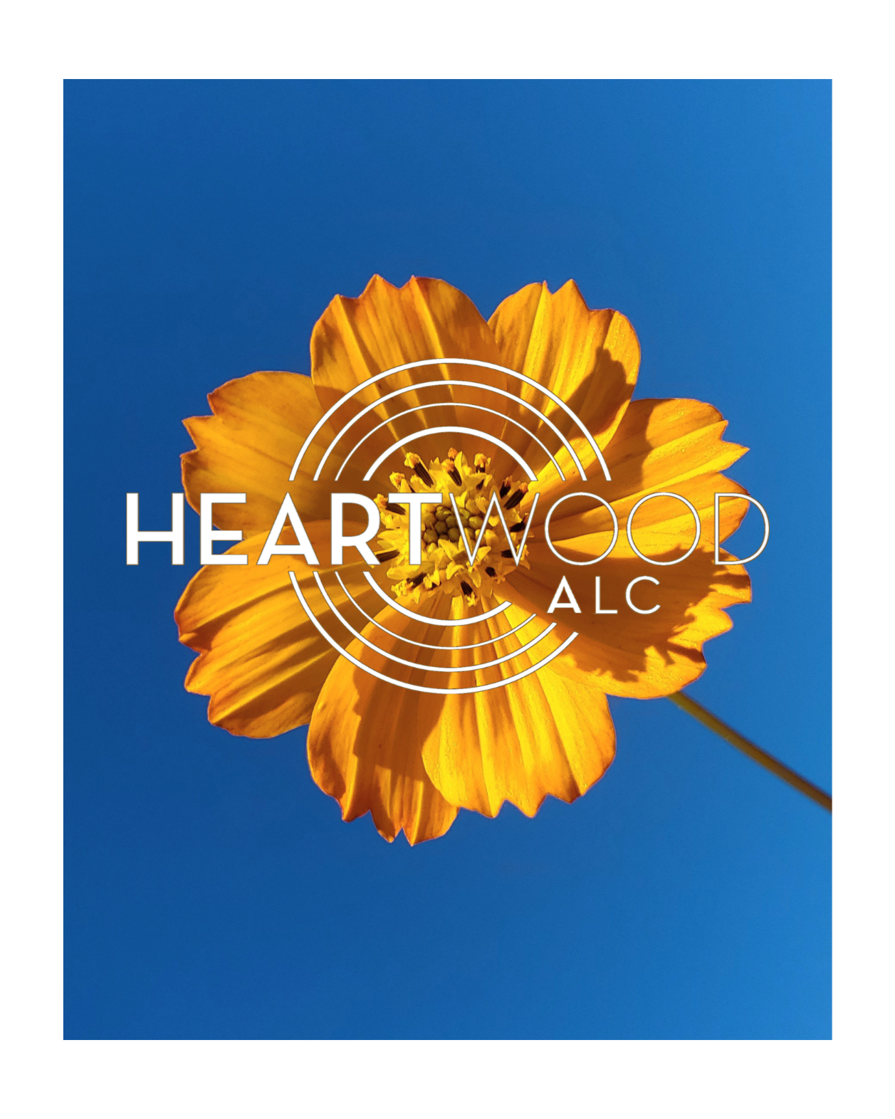 Heartwood Agile Learning Center