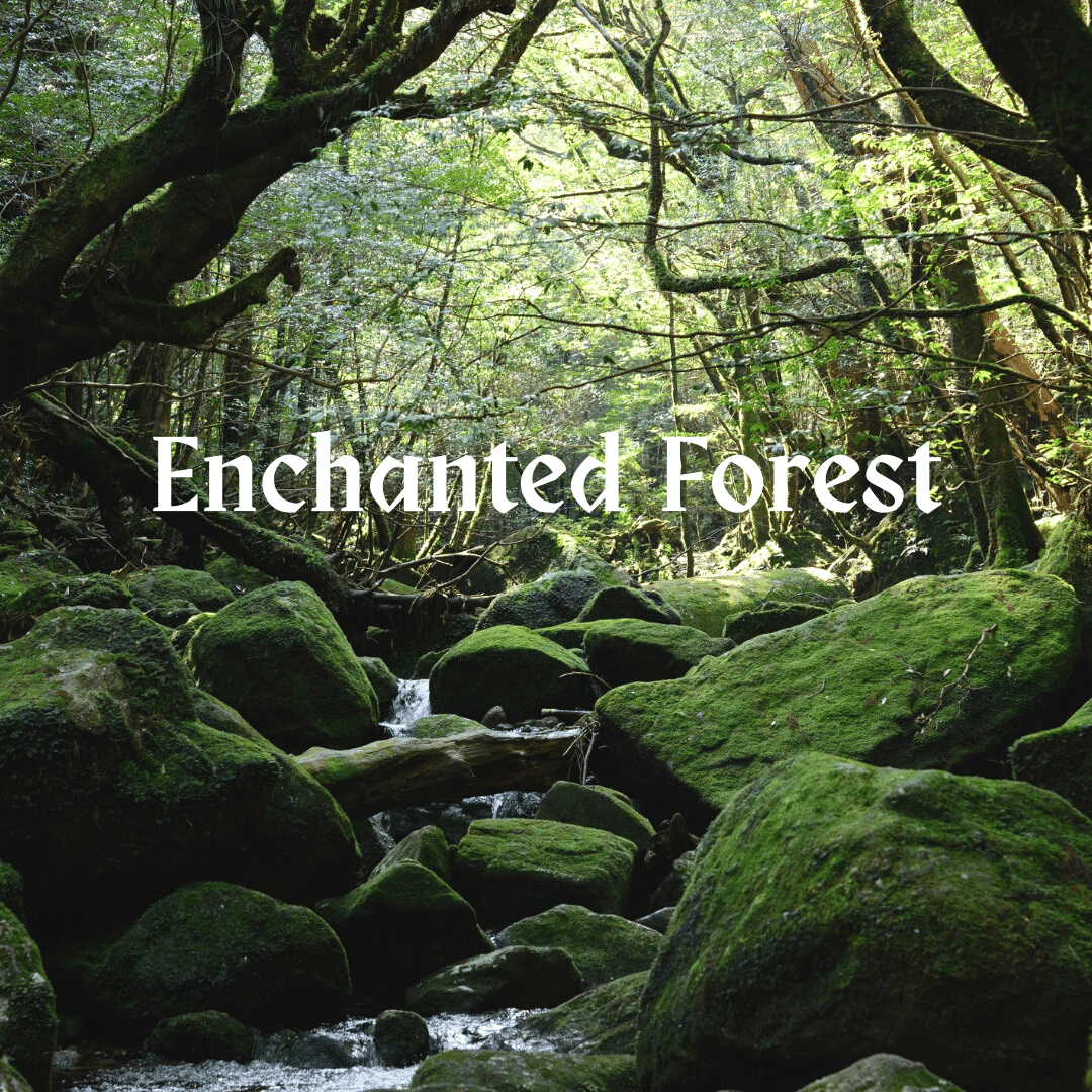 The Mystery in the Enchanted Forest