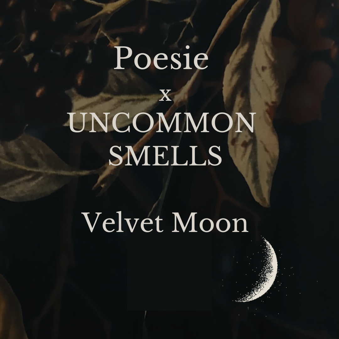 Poesie X Uncommon Smells Velvet Moon Perfume Oil — Poesie
