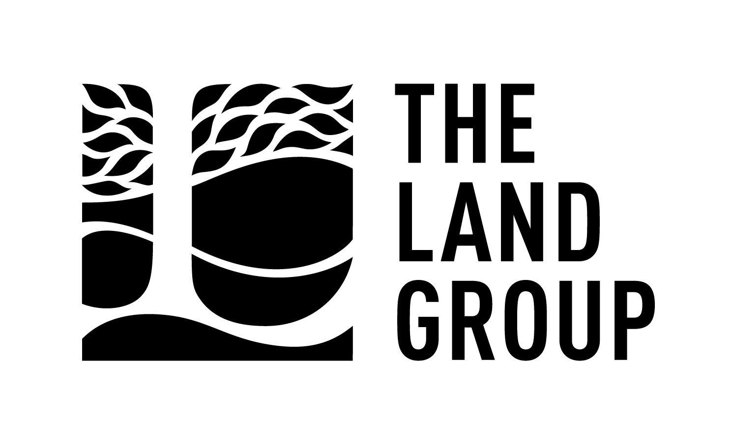 The Land Group, Inc.