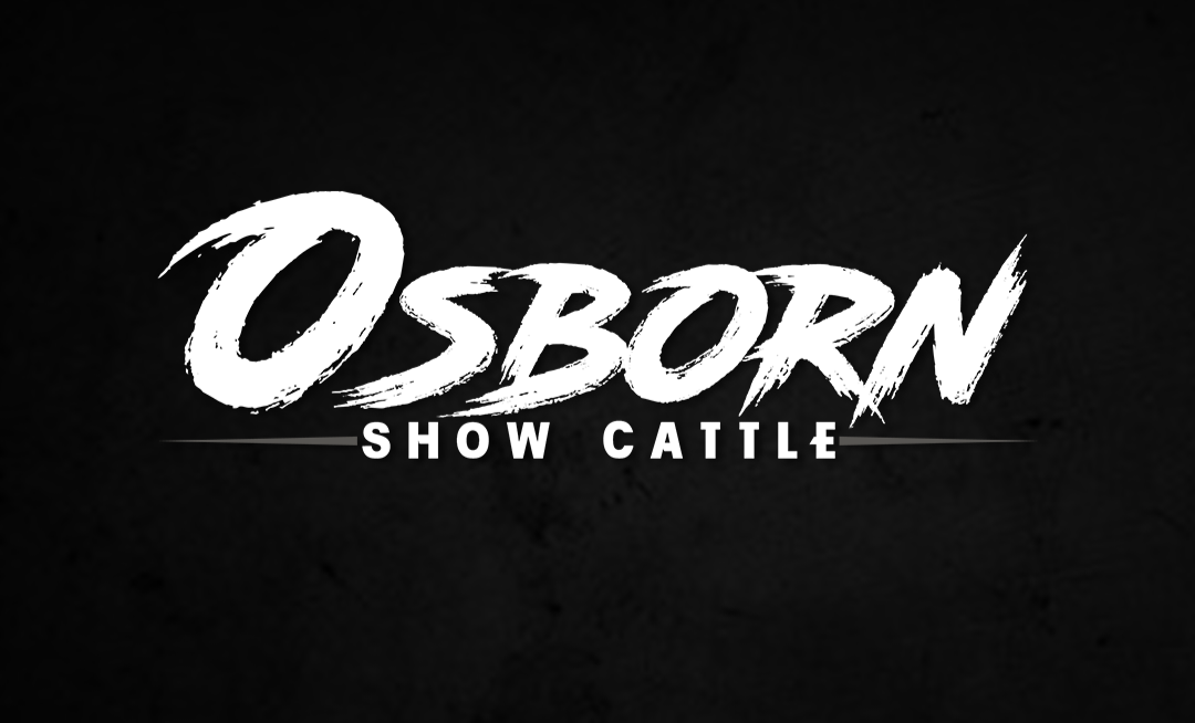 Osborn Show Cattle