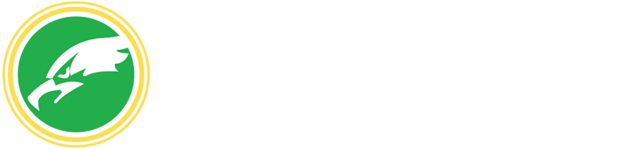 Hawk Energy Solutions