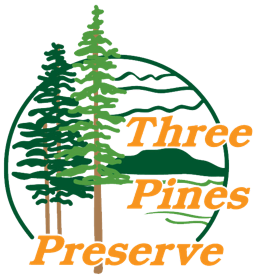Florida Quail Hunting | Florida Pheasant Hunting | Three Pines Preserve