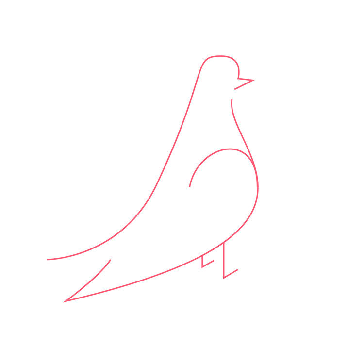 Pigeon Studio