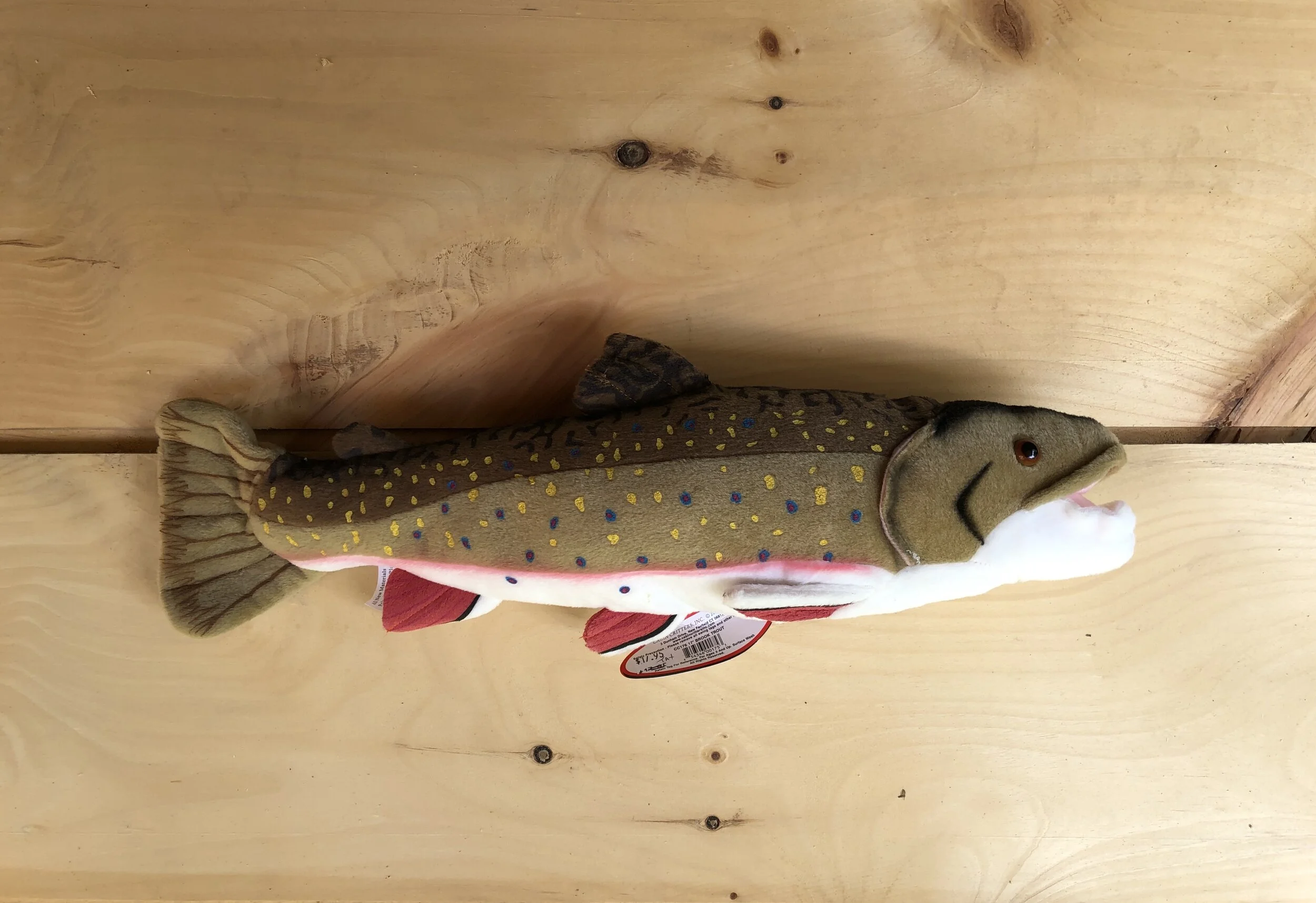 plush trout