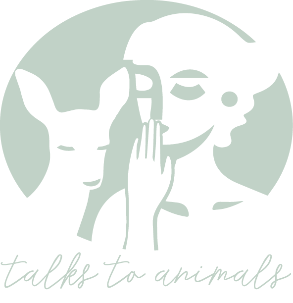 Talks To Animals