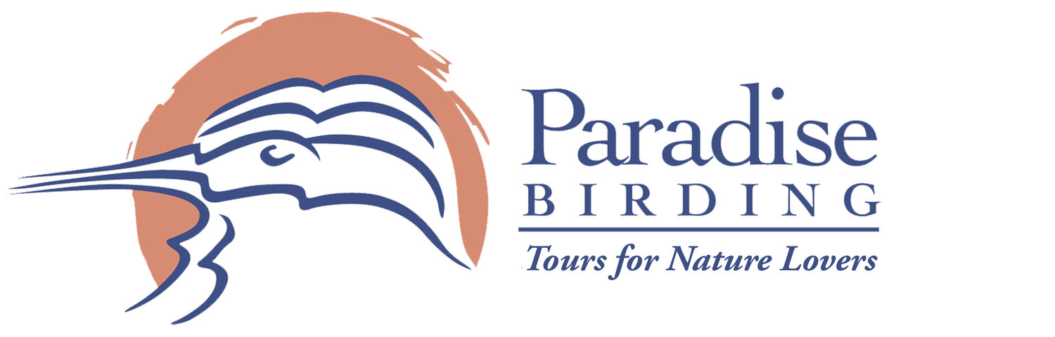 Paradise Birding