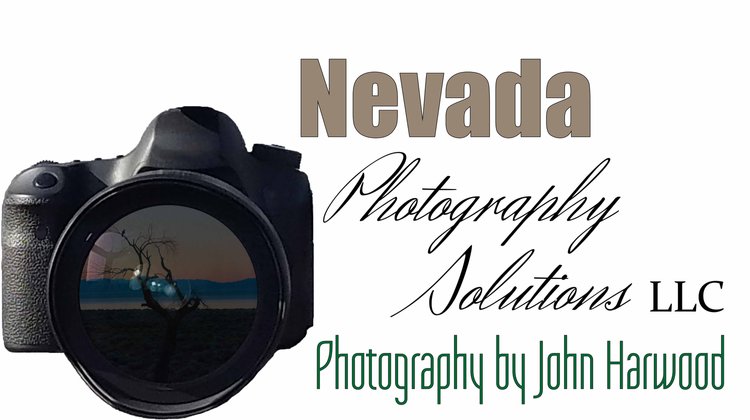Nevada Photography Solutions LLC-Real Estate/Home Photography
