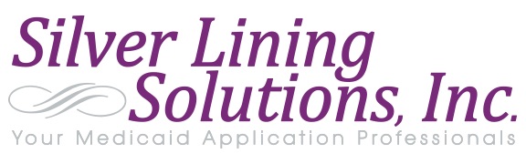 Silver Lining Solutions, Inc.