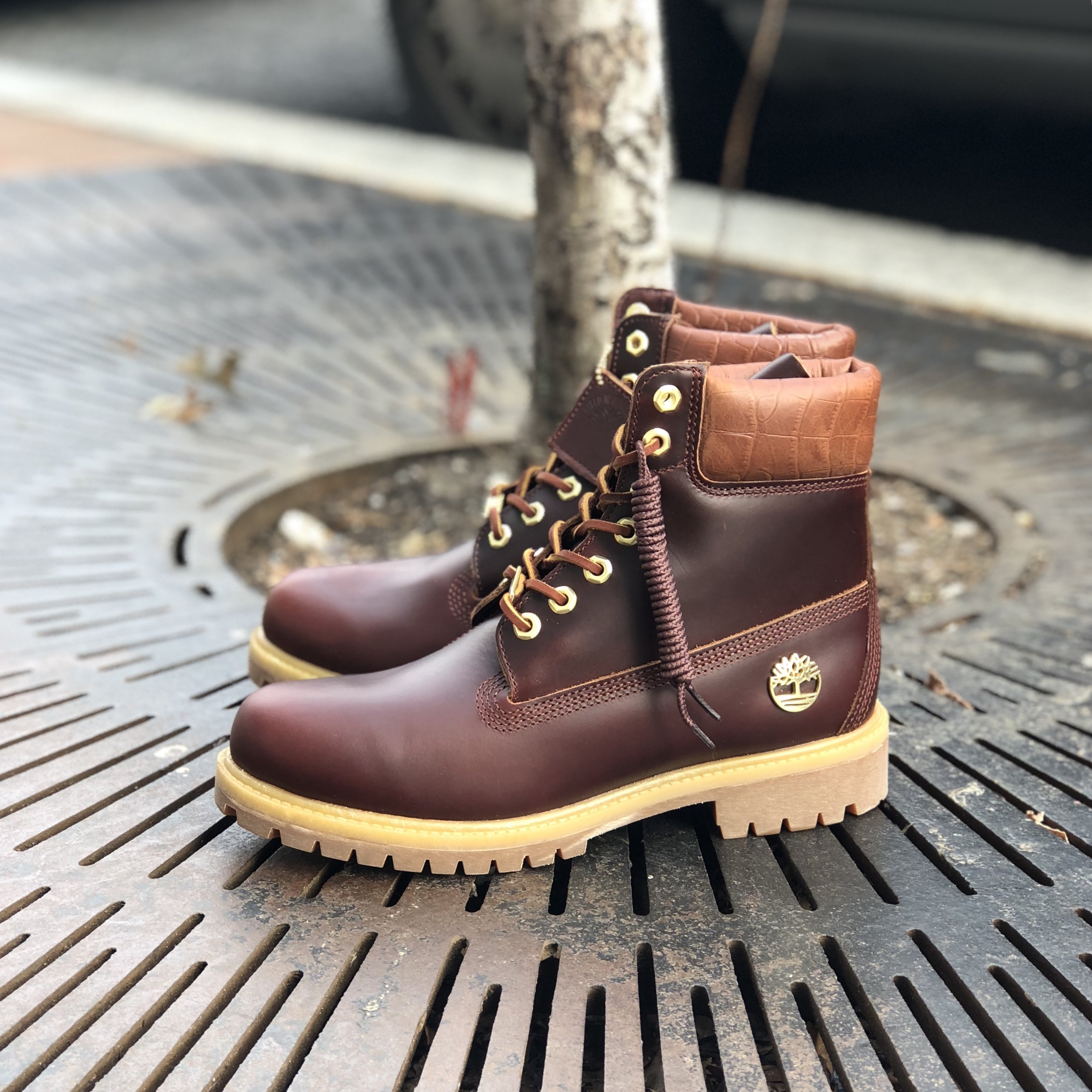 burgundy and gold timberlands