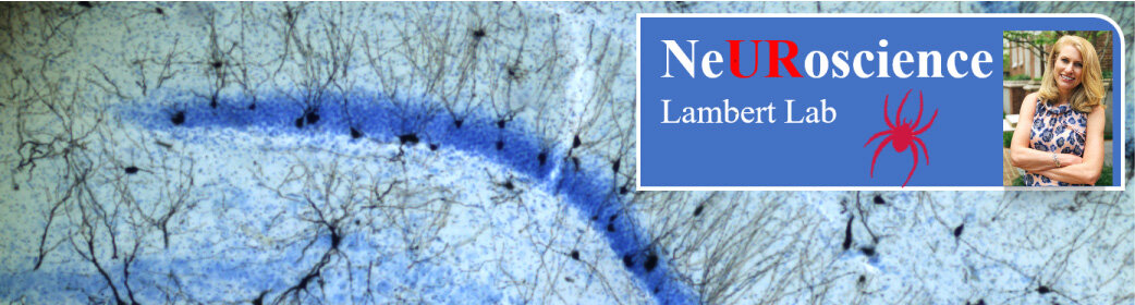 Lambert Behavioral Neuroscience Laboratory