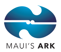 Maui&#39;s Ark