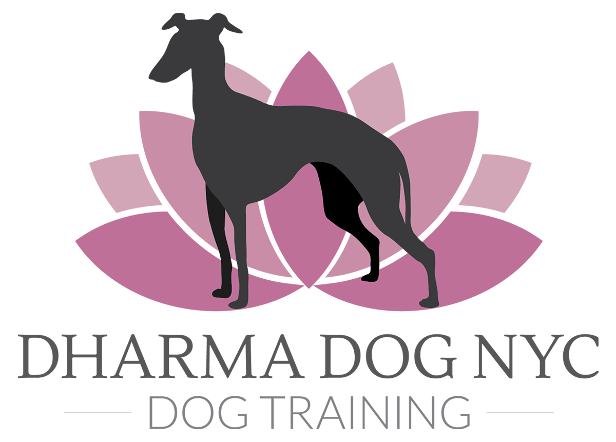 Dharma Dog NYC - Dog Training