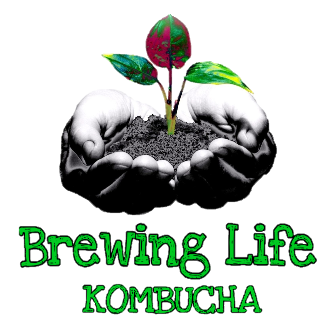 Brewing Life Kombucha