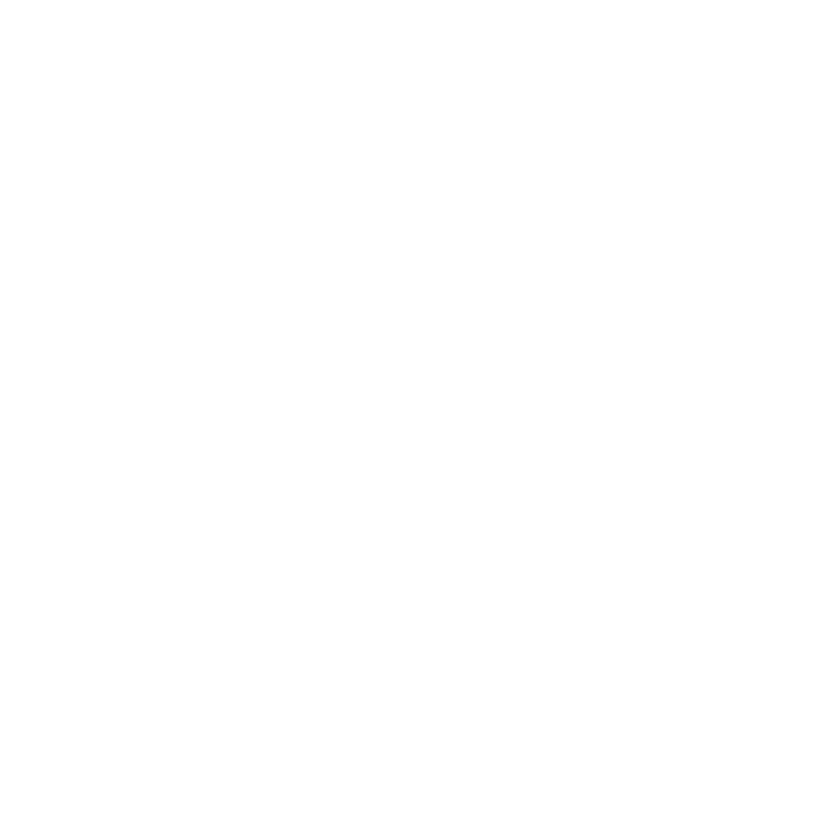VideoBrock