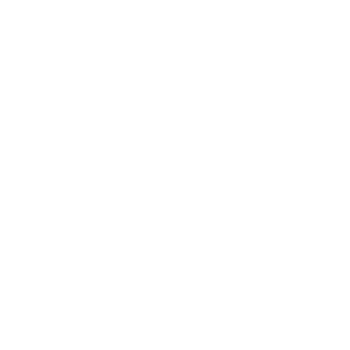 Montana Video Company