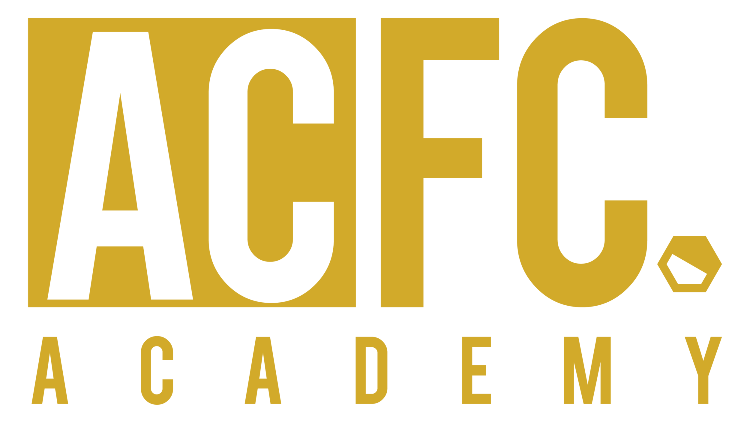 ACFC Academy - Play Football In Spain 2021 Season  - Players Wanted