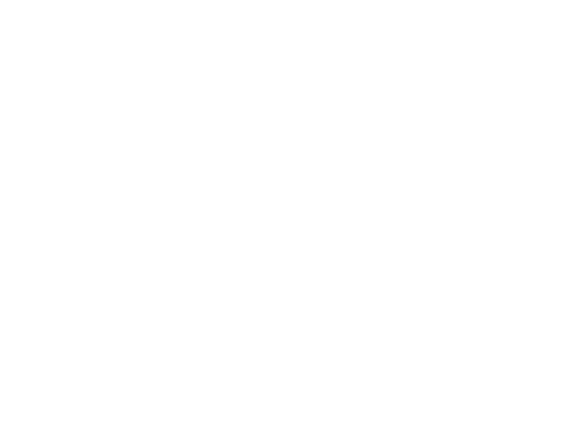 Stichting Animo Zaandam