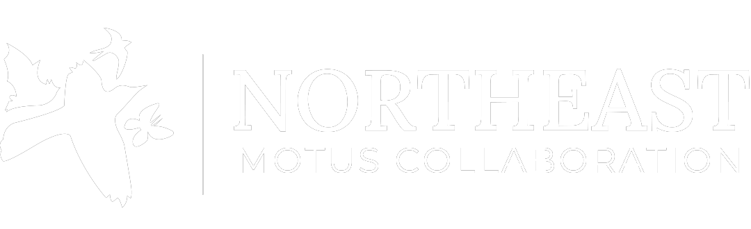 Northeast Motus Collaboration