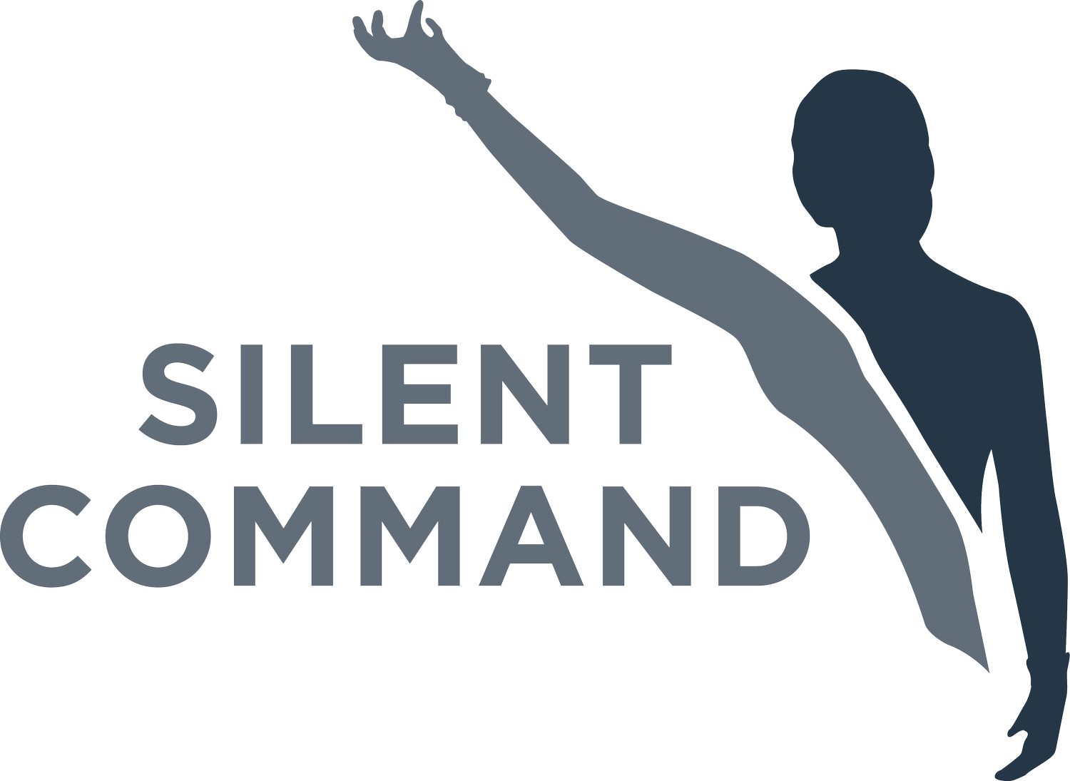 Silent Command