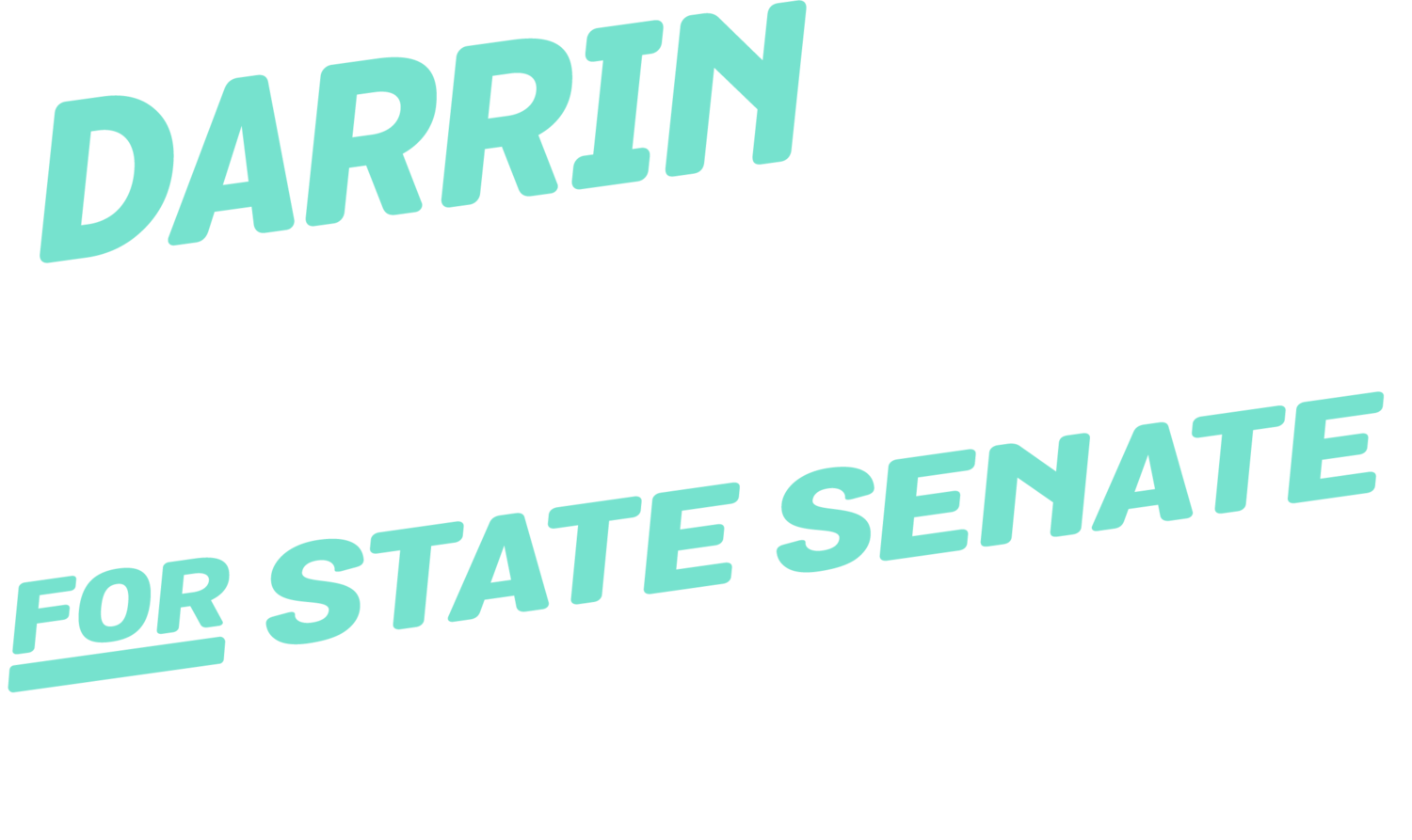 Darrin Camilleri for State Senate