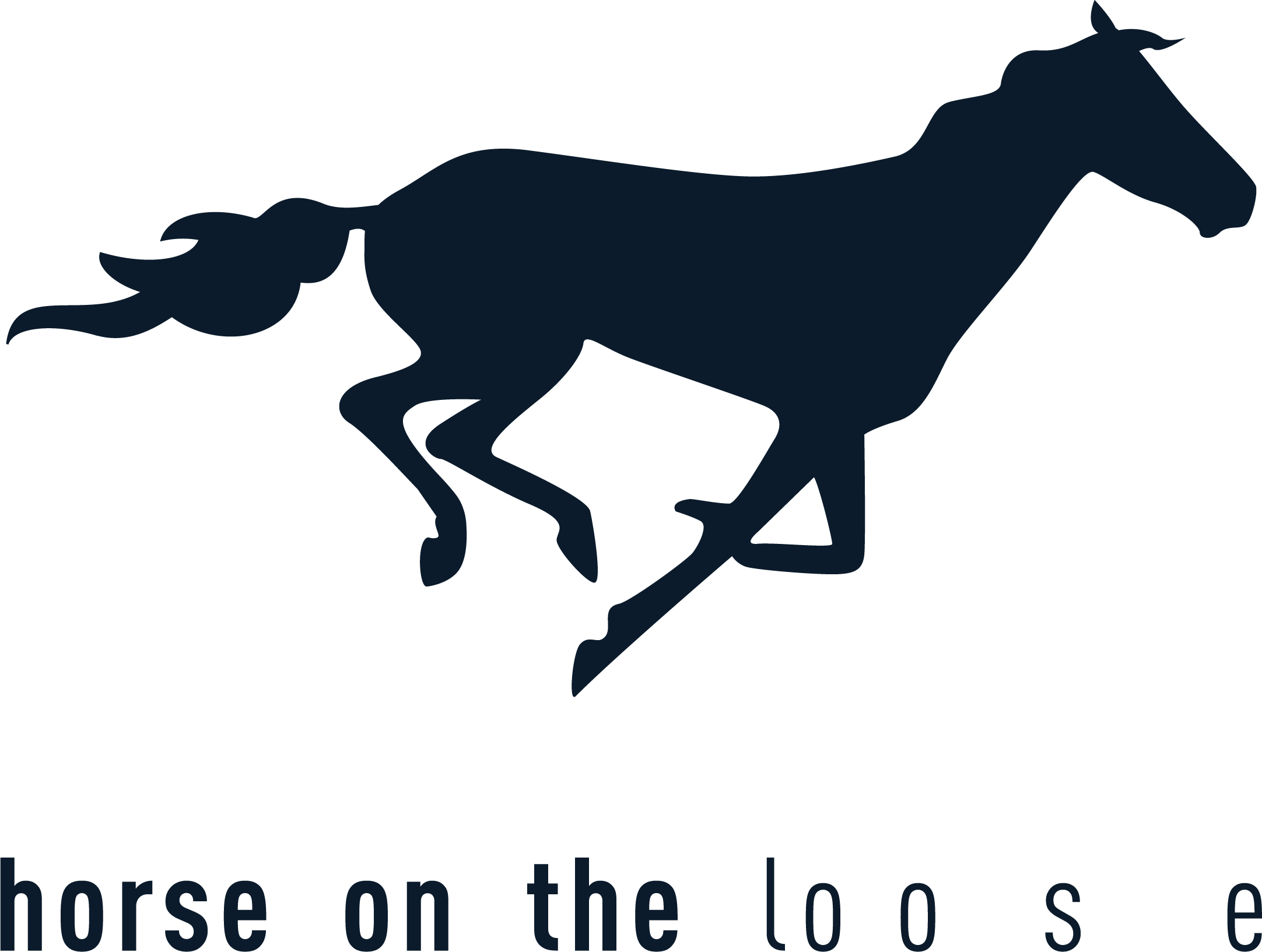 horse on the loo s  e