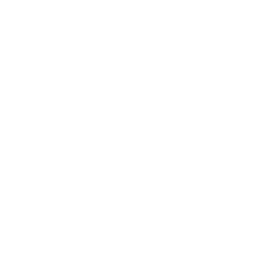 Civil Action Group — APS International