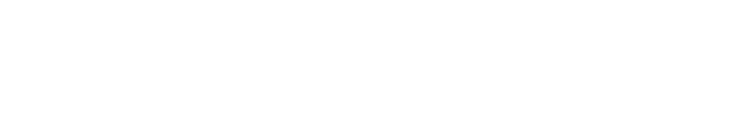 Company logo image Footer
