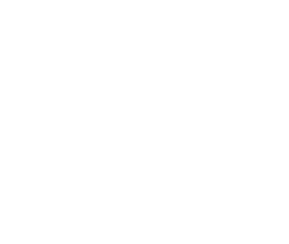 Denise Nicole Artistry