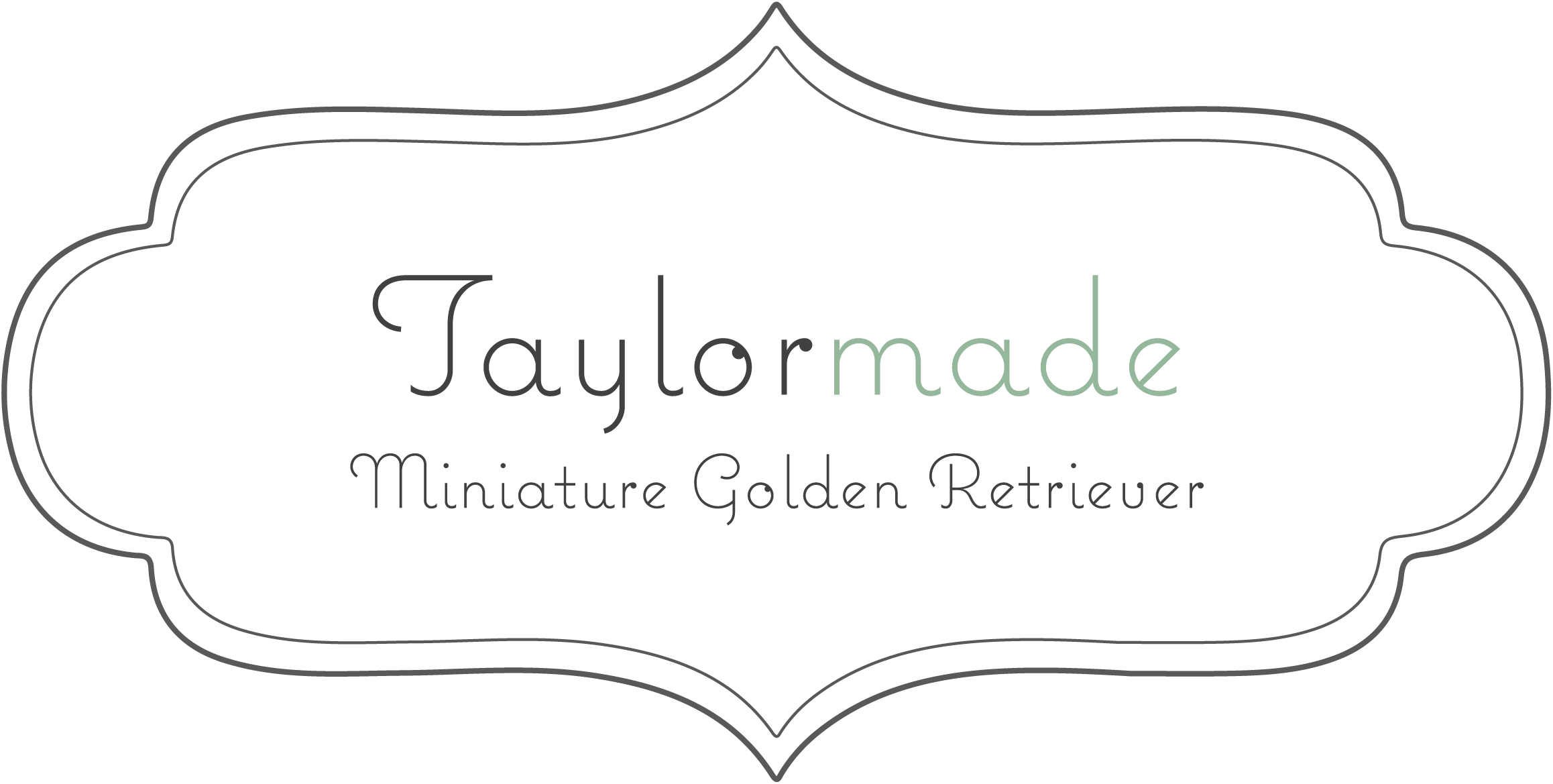 Taylormade Miniature Golden Retriever