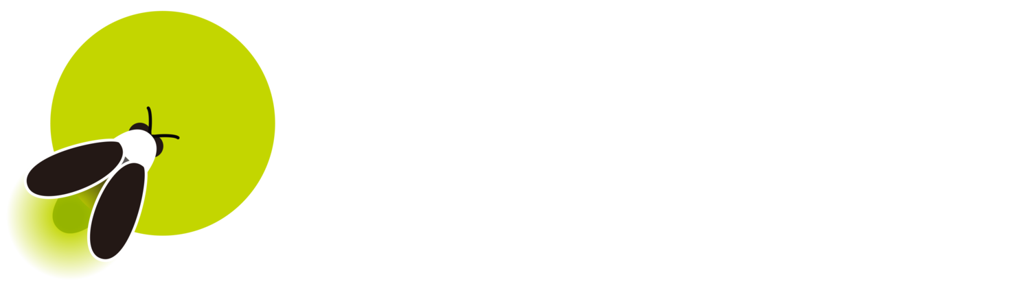 Fireflyers International Network