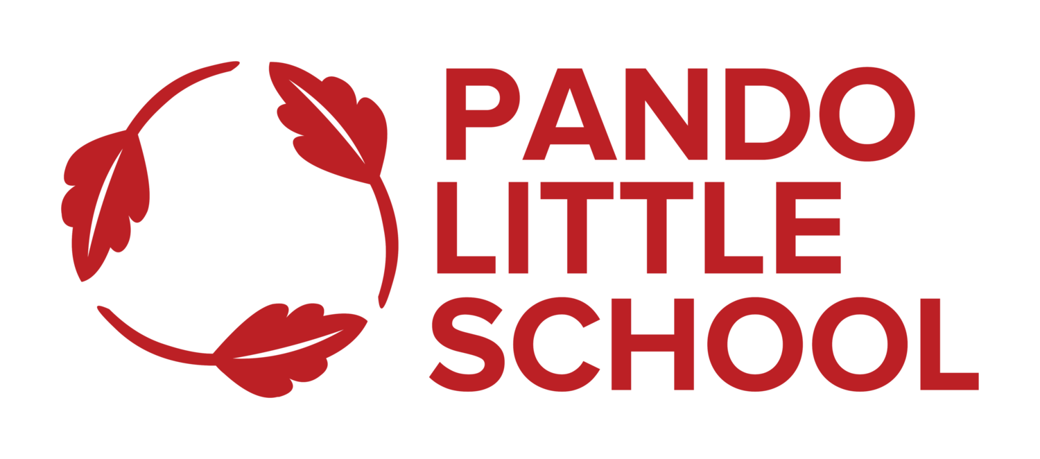 Pando Little School