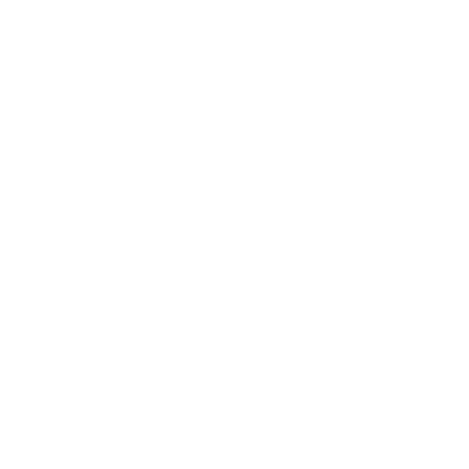 Type One Run