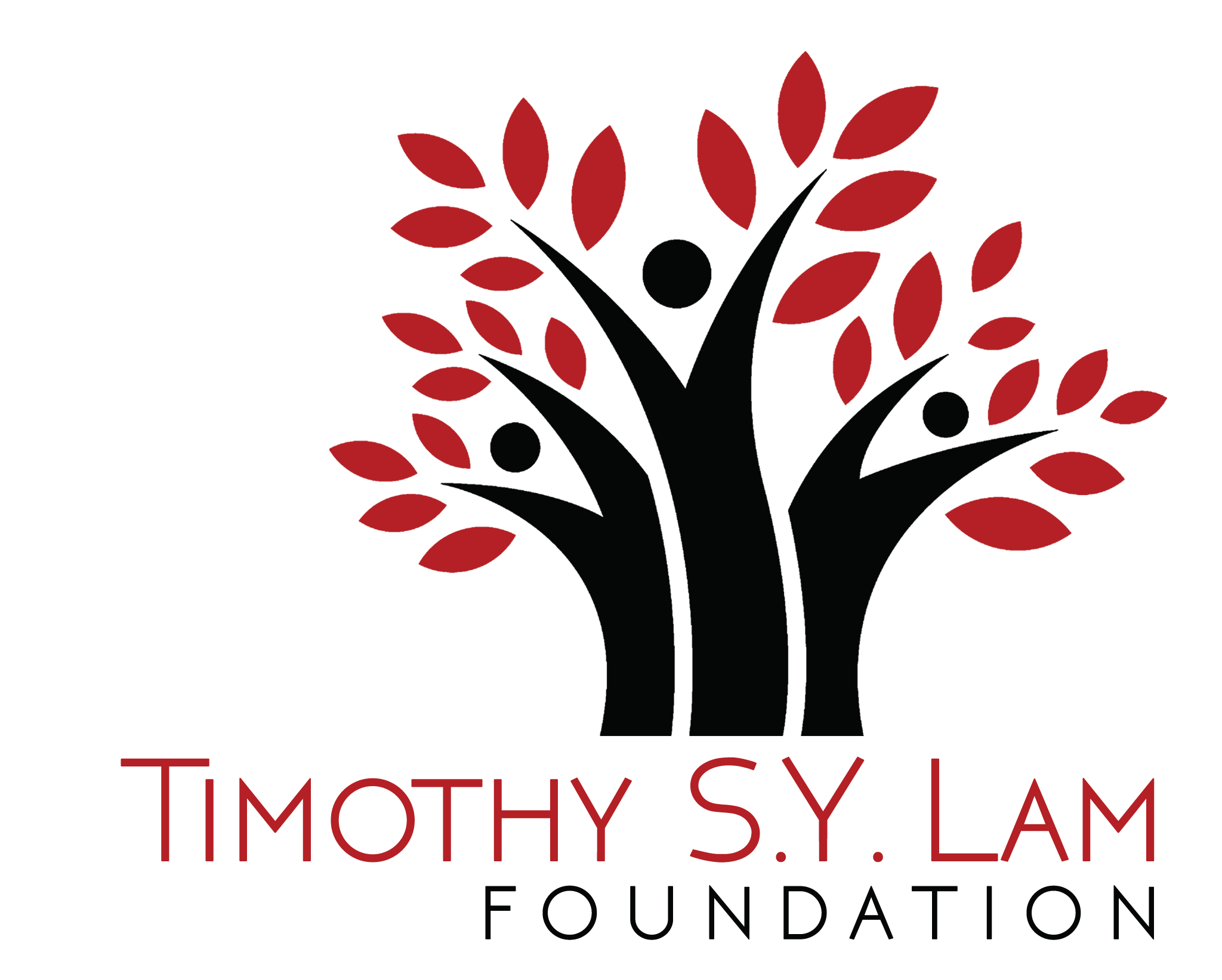 Timothy S Y Lam Foundation