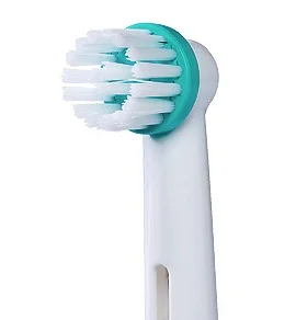 ortho head oral b