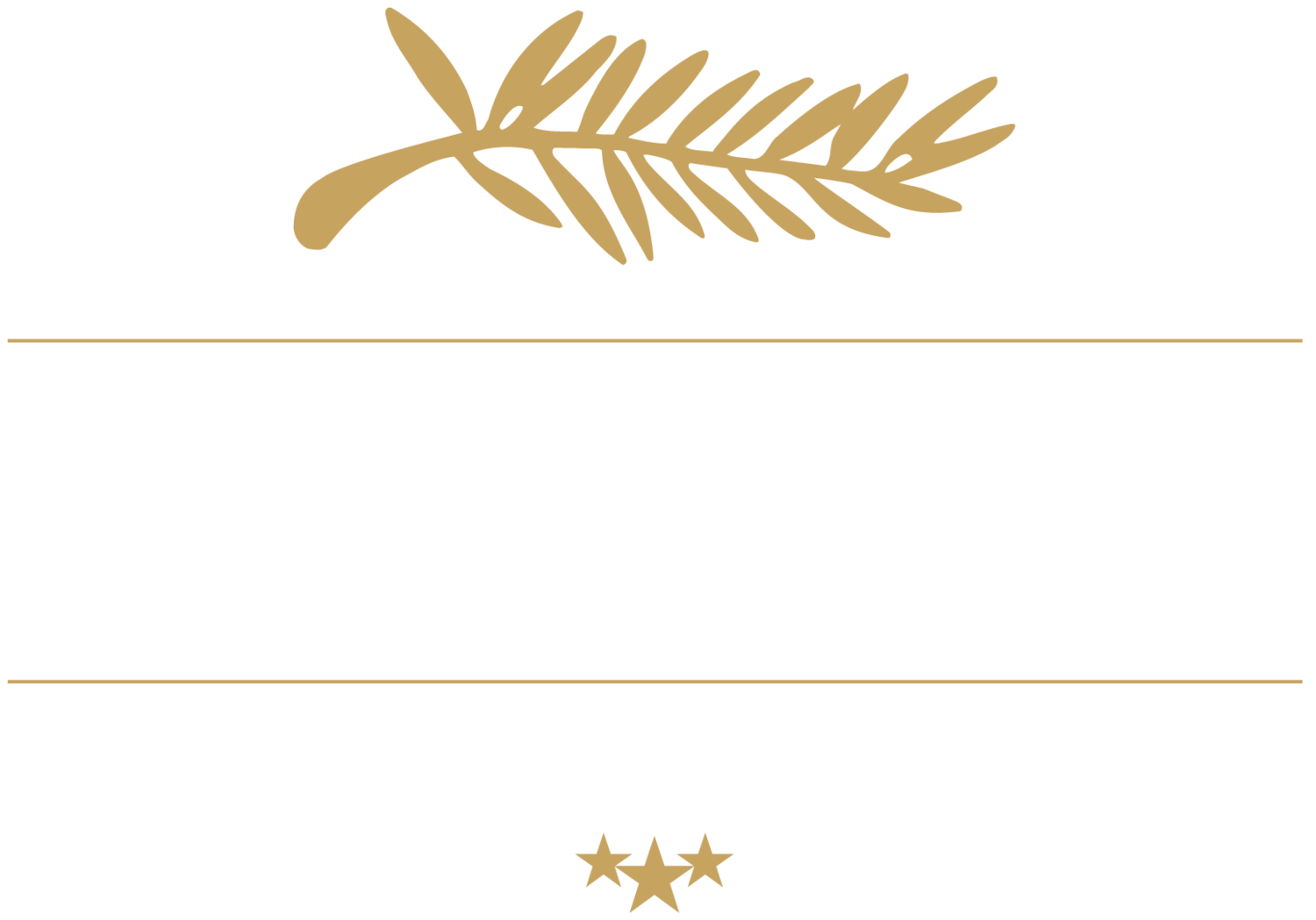 Hôtel Festival