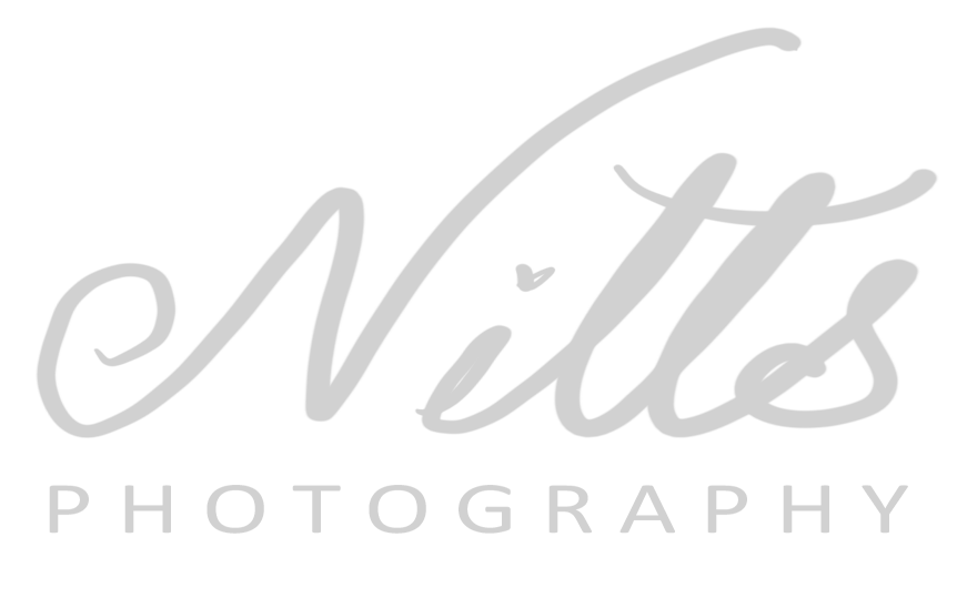 Nitts Photography