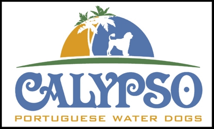 Calypso Water Dogs
